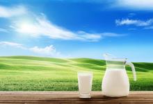 酸奶、纯牛奶、鲜奶哪个更营养 适合什么样的人
