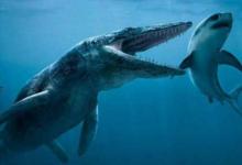 沧龙是同时期海洋动物中最厉害的捕食者